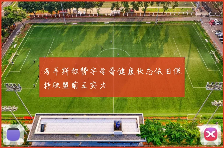 考辛斯称赞字母哥健康状态依旧保持联盟前五实力