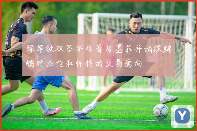 绿军欲双签字母哥与墨菲并试探鹈鹕对杰伦和怀特的交易意向