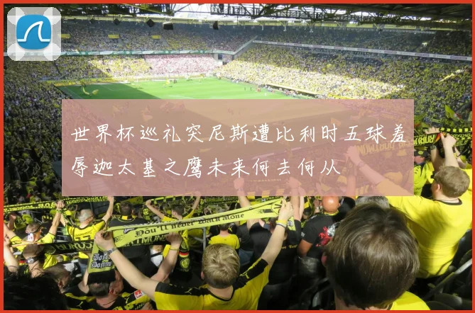 世界杯巡礼突尼斯遭比利时五球羞辱迦太基之鹰未来何去何从